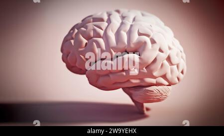 Cerveau humain debout sur un arrière-plan de couleur douce. Illustration 3D. Banque D'Images