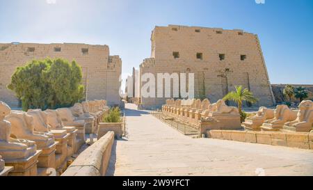 Louxor, Égypte - entrée du temple Karnak, Louxor, Égypte. Banque D'Images