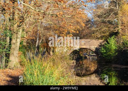 Pont Mytchett place sur le canal Basingstoke en automne. Mytchett, Surrey, Angleterre, Royaume-Uni, Grande-Bretagne Banque D'Images