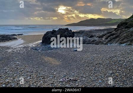 Swansea, Royaume-Uni. 31 décembre 2023. Un marsouin mort est échoué à Rotherslade Bay à Swansea cet après-midi dans le temps orageux Credit : Phil Rees/Alamy Live News Banque D'Images