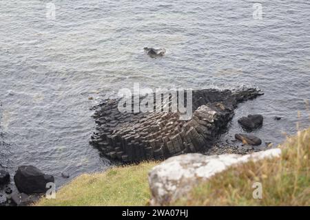 Colonnes de basalte hexagonales situées sur la péninsule d'Ardmeanach sur l'île de Mull des Herbrides intérieures, en Écosse, au Royaume-Uni Banque D'Images