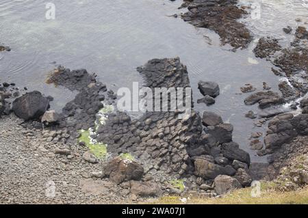 Colonnes de basalte hexagonales situées sur la péninsule d'Ardmeanach sur l'île de Mull des Herbrides intérieures, en Écosse, au Royaume-Uni Banque D'Images