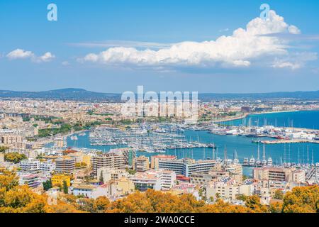 La vue aérienne de Palma de Majorque révèle un paysage urbain animé, des monuments historiques et une marina animée sur la côte ensoleillée des Baléares. Banque D'Images