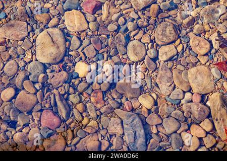 Une variété de petits rochers colorés et des pierres sous l'eau dans un ruisseau clair et peu profond sur une journée ensoleillée en hiver Banque D'Images