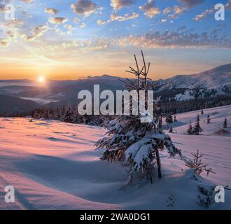 Pittoresque lever de soleil sur les alpes d'hiver. La plus haute crête des Carpates ukrainiens est Chornohora avec des sommets de Hoverla et Petros. Vue de Svydov Banque D'Images