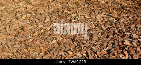 Gros plan plein cadre de paillis brun utilisé pour le jardinage et la décoration paysagère. Texture de l'écorce de paillis de bouleau pour le jardin. Plan rapproché d'un revêtement de chemin de copeaux de bois. Fond de biomasse de texture de copeaux de bois Banque D'Images