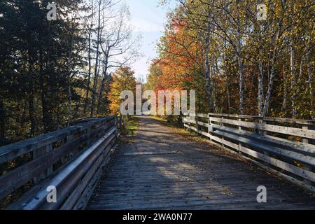 Piste cyclable sur le Sentier transcanadien, province de Québec, Canada, Amérique du Nord Banque D'Images