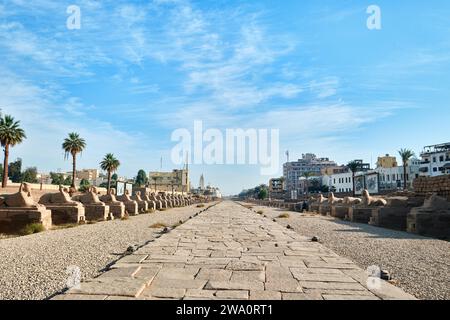 Louxor, Égypte - décembre 26 2023 : vue sur l'avenue des Sphinx depuis le temple de Louxor Banque D'Images