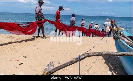 Effort d'équipe : Groupe tirant du filet de pêche à Kalkudah Beach, à l'est du Sri Lanka Banque D'Images