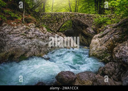 Mignon petit pont en pierre sur la crique et cascades dans la forêt verte, Slovénie, Europe Banque D'Images