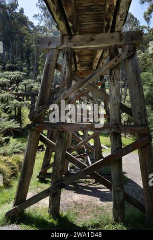 Vieux Monbulk emblématique Puffing Billy-Railway Trestle Bridge en bois construit en 1889, situé dans les chaînes de Dandenong près de Melbourne, Victoria, Australie Banque D'Images