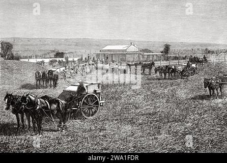 Station des colons. Bendigo. Victoria, Australie. Six mois en Australie 1878 par Desire Charnay (1828 - 1915) gravure ancienne du 19e siècle du Tour du monde 1880 Banque D'Images