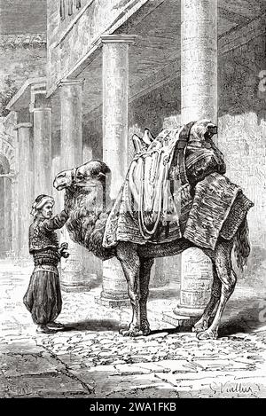 Chameau dans un bazar à Izmir, Anatolie, Turquie. Voyage en Syrie 1875-1878 de Charles Louis Lortet (1836 - 1909) gravure ancienne du 19e siècle du Tour du monde 1880 Banque D'Images