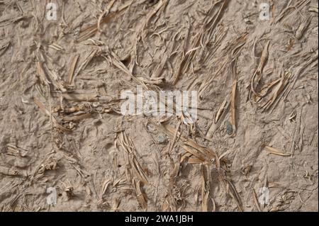 Texture d'une façade de maison en boue au Maroc Banque D'Images