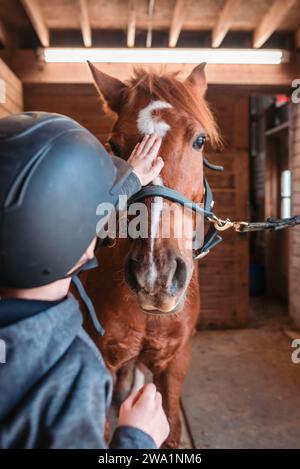 Jeune garçon caressant le cheval sur le front dans l'étable Banque D'Images