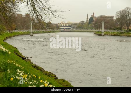 Les jonquilles poussent le long de la rive de la rivière au printemps. En regardant vers Inverness (Inbhir NIS) centre-ville le long de la rivière Ness, quelqu'un marche à travers un o Banque D'Images