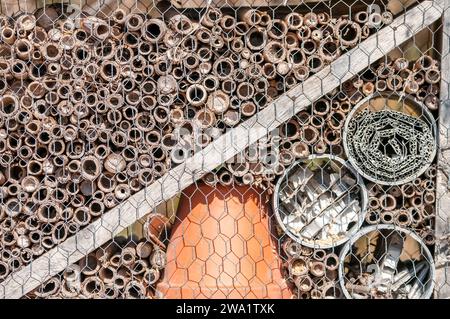 vue rapprochée, nichoir artificiel pour insectes sauvages, hôtel aux insectes Banque D'Images