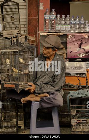 Malang, Indonésie, 01 janvier 2024 : Un homme vendant des oiseaux est assis en regardant les oiseaux qu'il vend dans des cages, au marché aux animaux de Malang, Java oriental. Banque D'Images