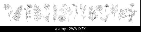 Ensemble de minuscules fleurs sauvages et dessin au trait de plantes. Illustration de Vecteur