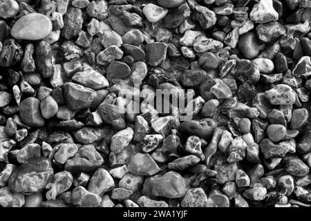 Détail fo bardeaux et pierres sur une plage Banque D'Images