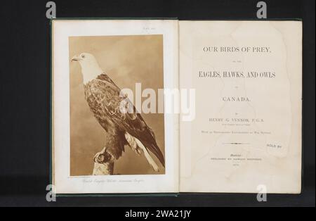 Nos oiseaux de proie, ou les aigles, faucons et hiboux du Canada, Henry George Vennor, livre 1876 Montreal lin (matériel). cuir. papier. impression sur support photographique / impression albumen Banque D'Images