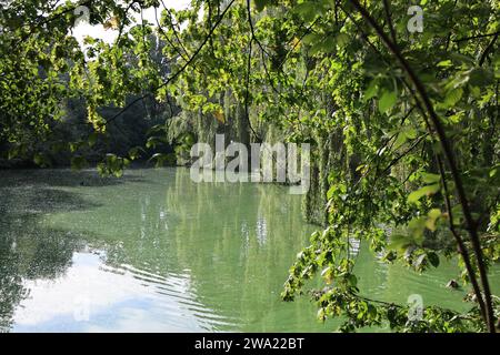 Impressionen aus Sendenhorst im Münsterland Banque D'Images