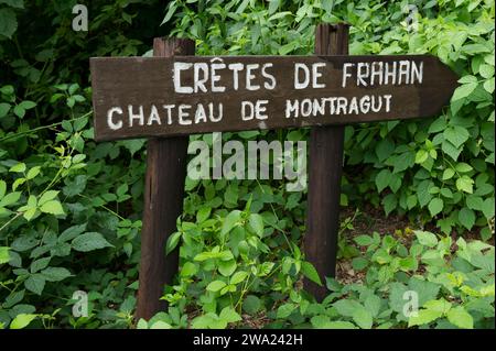 Les crétes de Frahan et les ruines du chateau de Montragut dominent la Semois. | les crêtes de Frahan dominent la rivière Semois avec ses ruines de château Banque D'Images