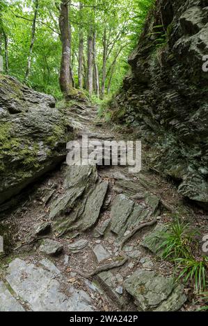 Les crétes de Frahan et les ruines du chateau de Montragut dominent la Semois. | les crêtes de Frahan dominent la rivière Semois avec ses ruines de château Banque D'Images