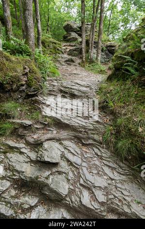 Les crétes de Frahan et les ruines du chateau de Montragut dominent la Semois. | les crêtes de Frahan dominent la rivière Semois avec ses ruines de château Banque D'Images