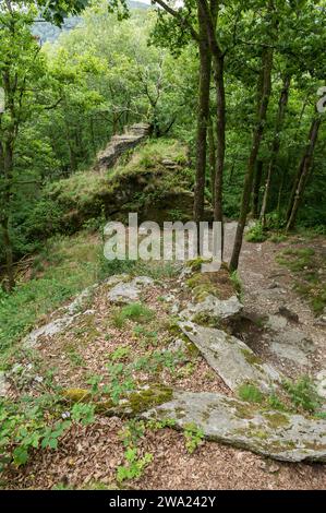 Les crétes de Frahan et les ruines du chateau de Montragut dominent la Semois. | les crêtes de Frahan dominent la rivière Semois avec ses ruines de château Banque D'Images