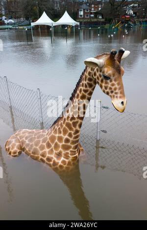 Stourport-on-Severn, Worcestershire, le 1 janvier 2024 - Geoffrey la girafe est haut dans les eaux de crue - les niveaux d'eau ont augmenté à travers Stourport-on-Severn lundi alors que la tempête Henk a apporté de graves avertissements d'inondation à une grande partie du Royaume-Uni. Un modèle de dinosaure sur un parcours de mini-golf, nommé Dennis par les habitants qui l'utilisent comme jauge de hauteur d'inondation, est maintenant «hauteur de genou» Geoffrey la girafe est également «hauteur d'épaule» à proximité. Un modèle Zebra et Tiger a également pu être vu partiellement submergé. Le parc d'expositions Treasure Island est maintenant plus insulaire qu'avant. Crédit : Arrêter Press Media/Alamy Live News Banque D'Images