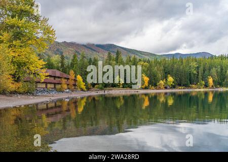 Couleur de feuillage d'automne le long des rives de McDonald dans le parc national de Glacier, Montana, États-Unis. Banque D'Images