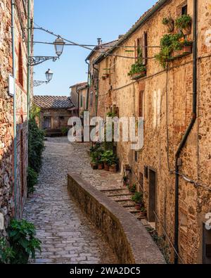 Le beau village de Chiusdino par un matin ensoleillé d'été. Province of Siena, Toscane, Italie. Banque D'Images