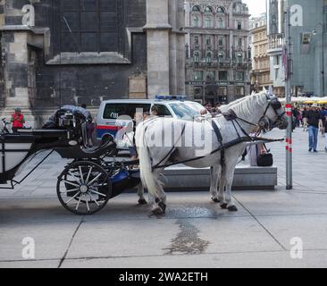 VIENNE, AUTRICHE - CIRCA SEPTEMBRE 2022 : chevaux et voitures Banque D'Images