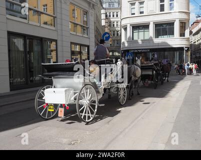 VIENNE, AUTRICHE - CIRCA SEPTEMBRE 2022 : chevaux et voitures Banque D'Images