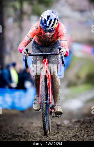 Baal, Belgique. 01 janvier 2024. Le Britannique Thomas Tom Pidcock photographié en action lors de la course élite masculine de l'épreuve cycliste de cyclocross GP Sven Nys, lundi 01 janvier 2024 à Baal, étape 4/8 de la compétition X2O Badkamers Trofee Veldrijden'. BELGA PHOTO JASPER JACOBS crédit : Belga News Agency/Alamy Live News Banque D'Images