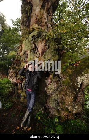 Un homme explore des forêts anciennes en Angleterre, Royaume-Uni Banque D'Images