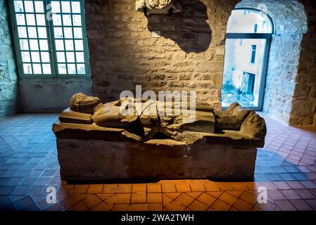 Effigie du roi, Château Comtal, grand château du 12e siècle restauré au sommet d'une colline, avec un musée dans cette célèbre ville fortifiée médiévale, la Cité, cité médiévale Banque D'Images