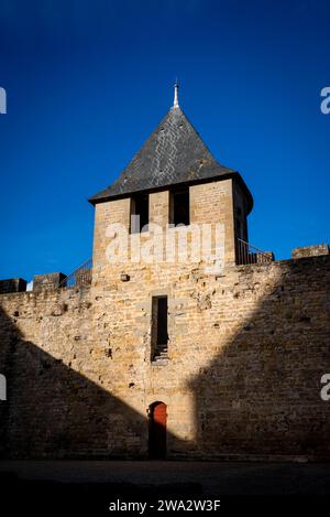 Château Comtal, grand château du 12e siècle restauré, perché sur une colline, avec un musée dans cette célèbre ville fortifiée médiévale, la Cité, citadelle médiévale, Carcasso Banque D'Images