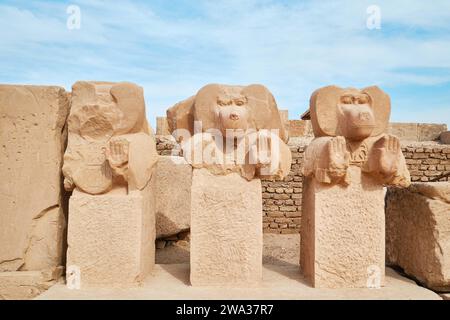 Louxor, Egypte - décembre 26 2023 : statues de babouins à Ramesseum, nécropole thébaine Banque D'Images