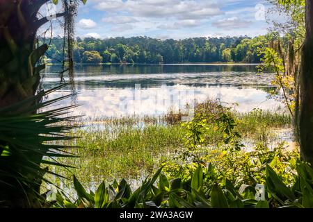 Grand lac au parc national Maclay Gardens à Tallahassee, Floride Banque D'Images