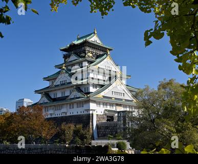 Le Château d'Osaka à l'automne Banque D'Images
