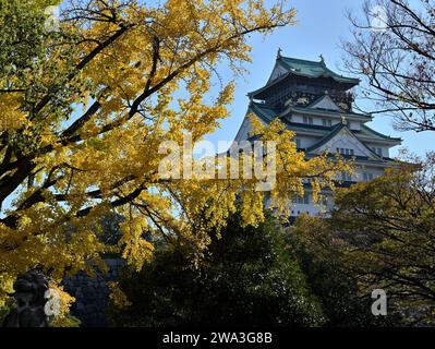 Le Château d'Osaka à l'automne Banque D'Images