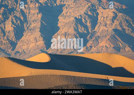 Mesquite Dunes with Tracks, Death Valley NP, Californie Banque D'Images