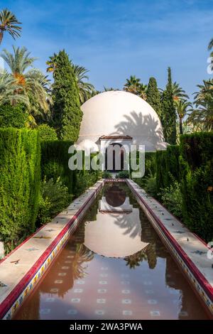 Centre d'accueil et fontaine dans le parc de palmeraie dans la ville d'Elche. Espagne Banque D'Images