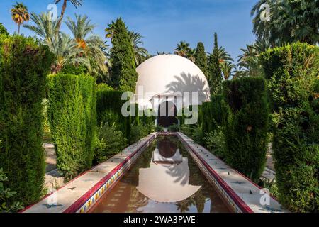 Centre d'accueil et fontaine dans le parc de palmeraie dans la ville d'Elche. Espagne Banque D'Images