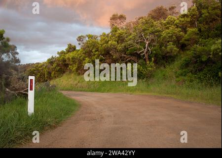 Conduite sur une route de gravier au coucher du soleil dans aire River Campground, Otways, Victoria, Australie. Banque D'Images