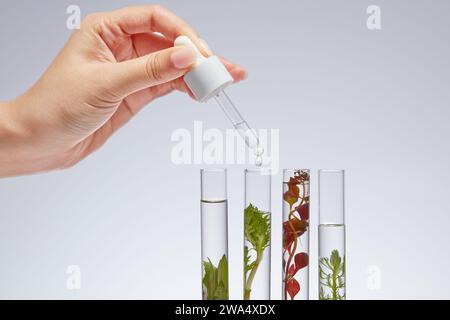 Main femelle tenant compte-gouttes et goutte à goutte de substance dans des tubes à essai contenant des échantillons de différents types d'algues sur fond blanc. Seawee Banque D'Images