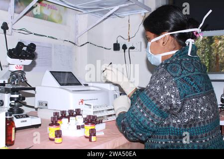 Lady Pathologist traitant des échantillons au laboratoire de pathologie pour analyse. Concept de diagnostic médical. Concept médical. Inde Banque D'Images