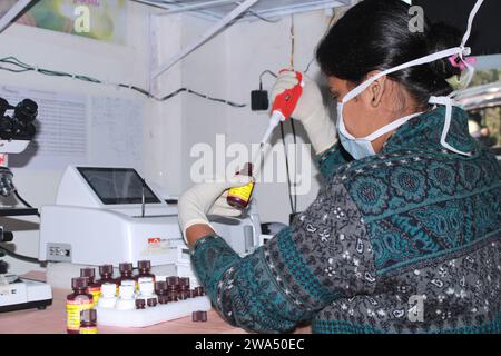 Lady Pathologist traitant des échantillons au laboratoire de pathologie pour analyse. Concept de diagnostic médical. Concept médical. Inde Banque D'Images